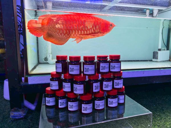 Colour-enhancing arowana food